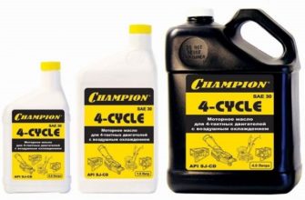 kakoe-maslo-letsya-v-motoblok-ctln-ru-2